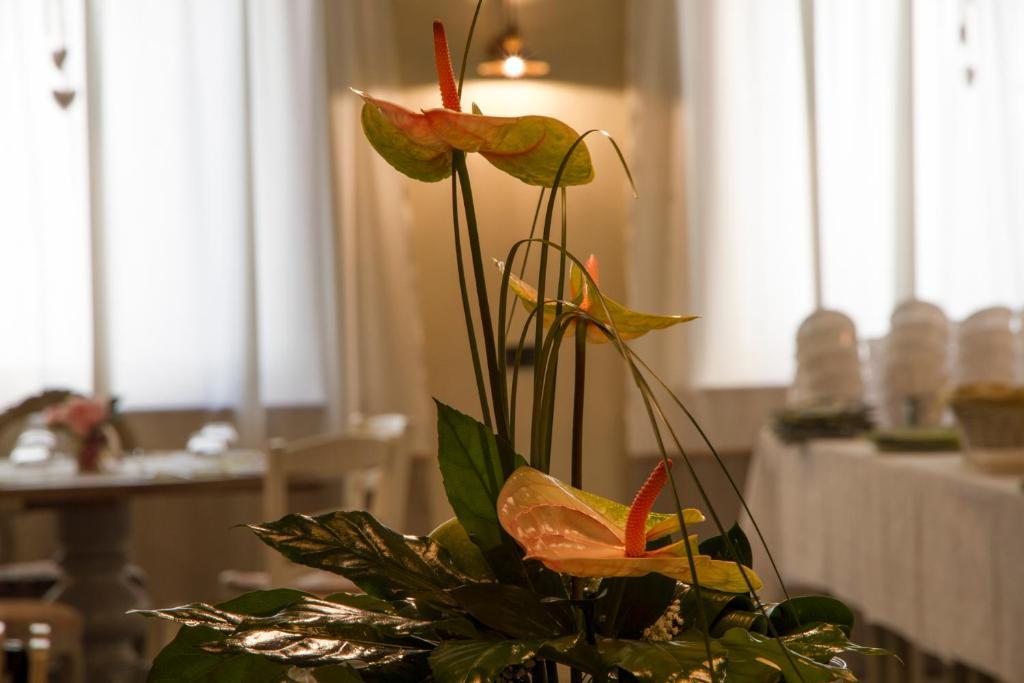 Hotel Europa Viadana Eksteriør billede
