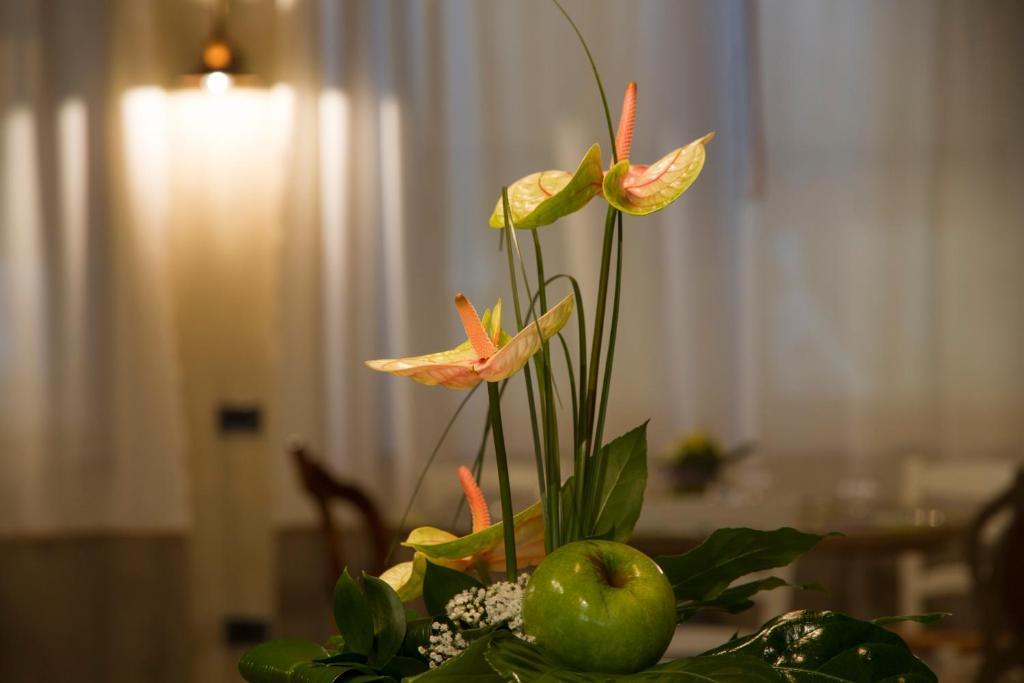 Hotel Europa Viadana Eksteriør billede